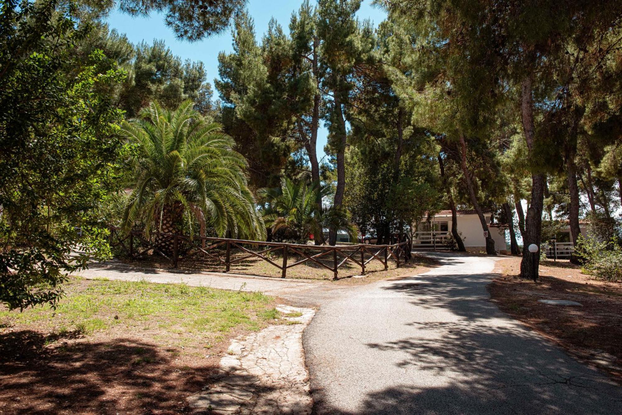 Villaggio Camping Punta Lunga Vieste Kültér fotó